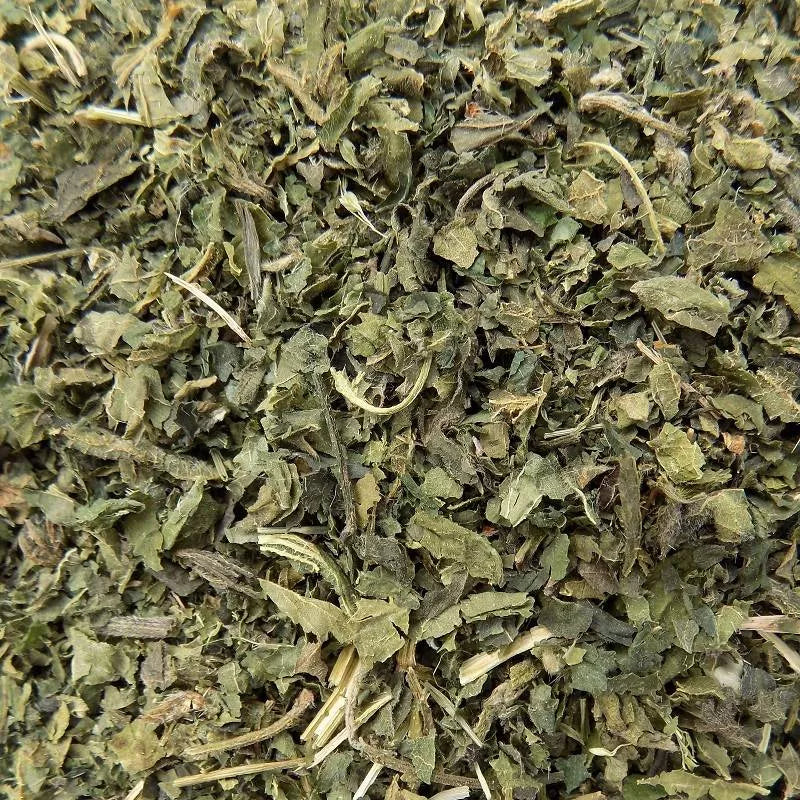 Brandnetelthee (urtica dioica)