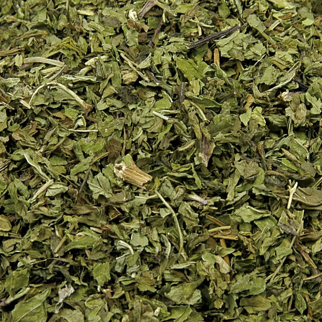 Groene Muntthee Blad Gesneden Aarmunt Nana (Mentha spicata)
