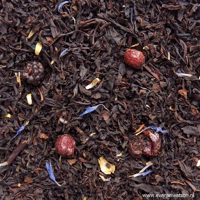 Hunebed Highway Thee