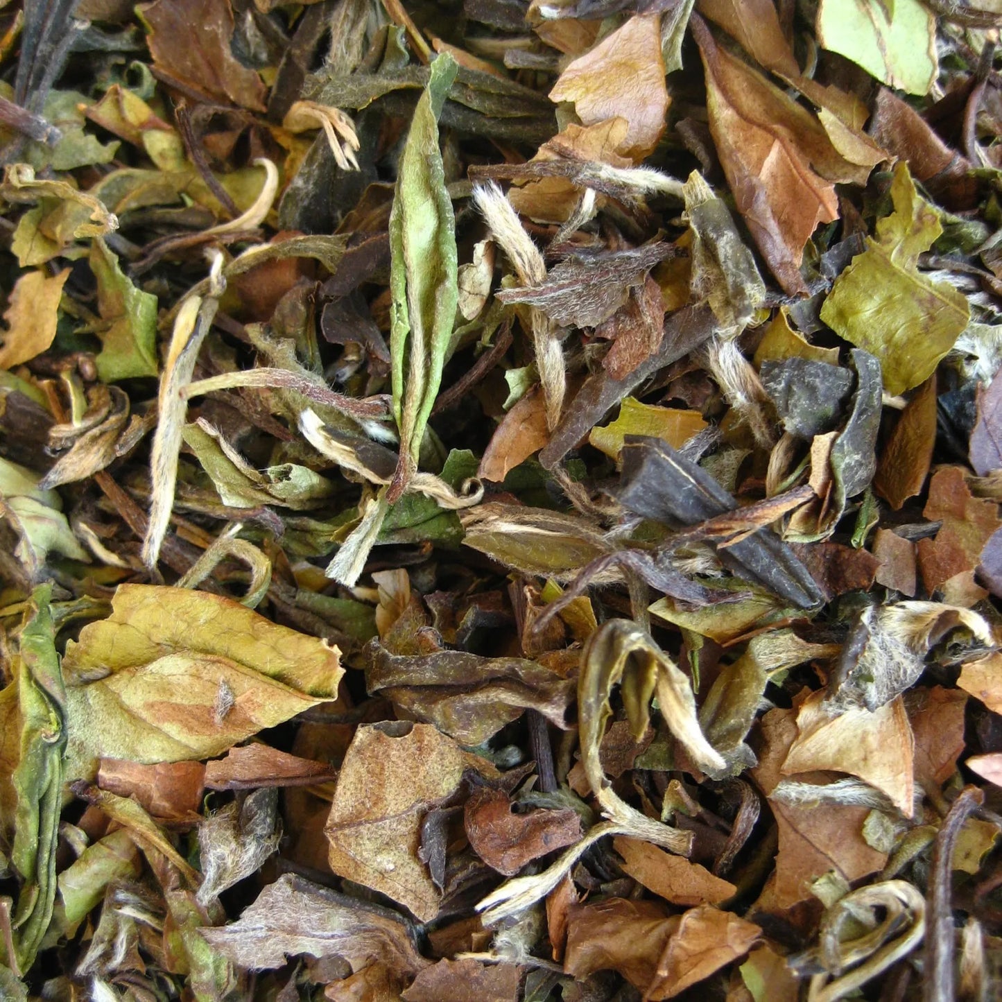 Pai Mu Tan (witte thee)