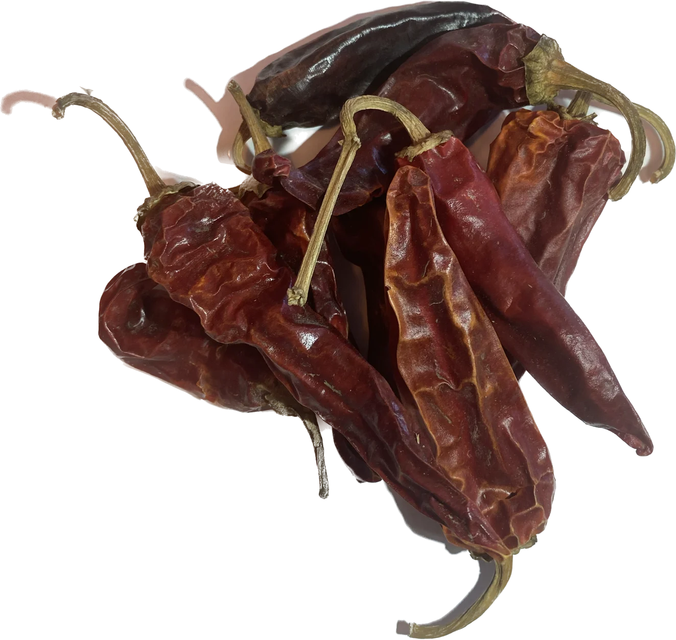 Chilipeper heel