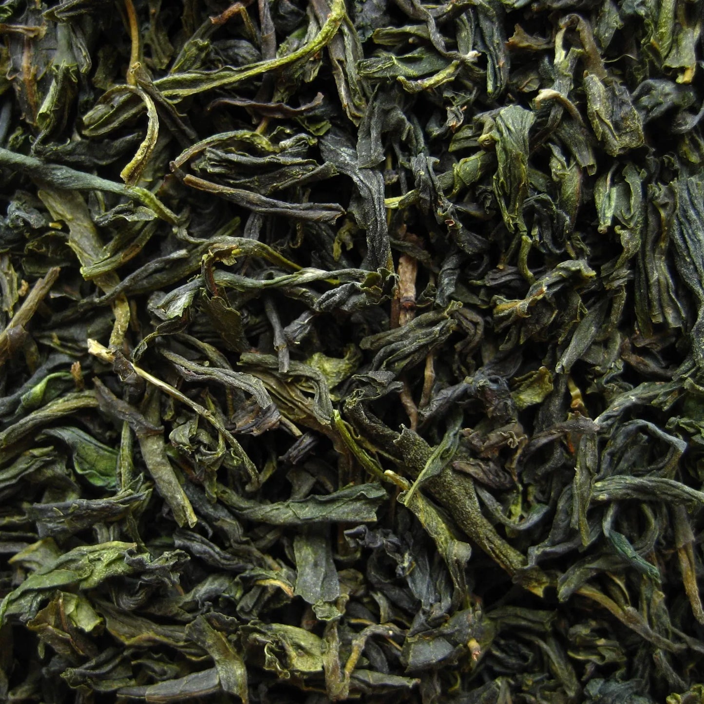 Fog Tea China