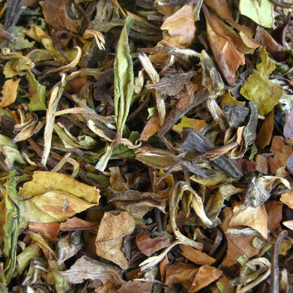 Pai Mu Tan (witte thee)