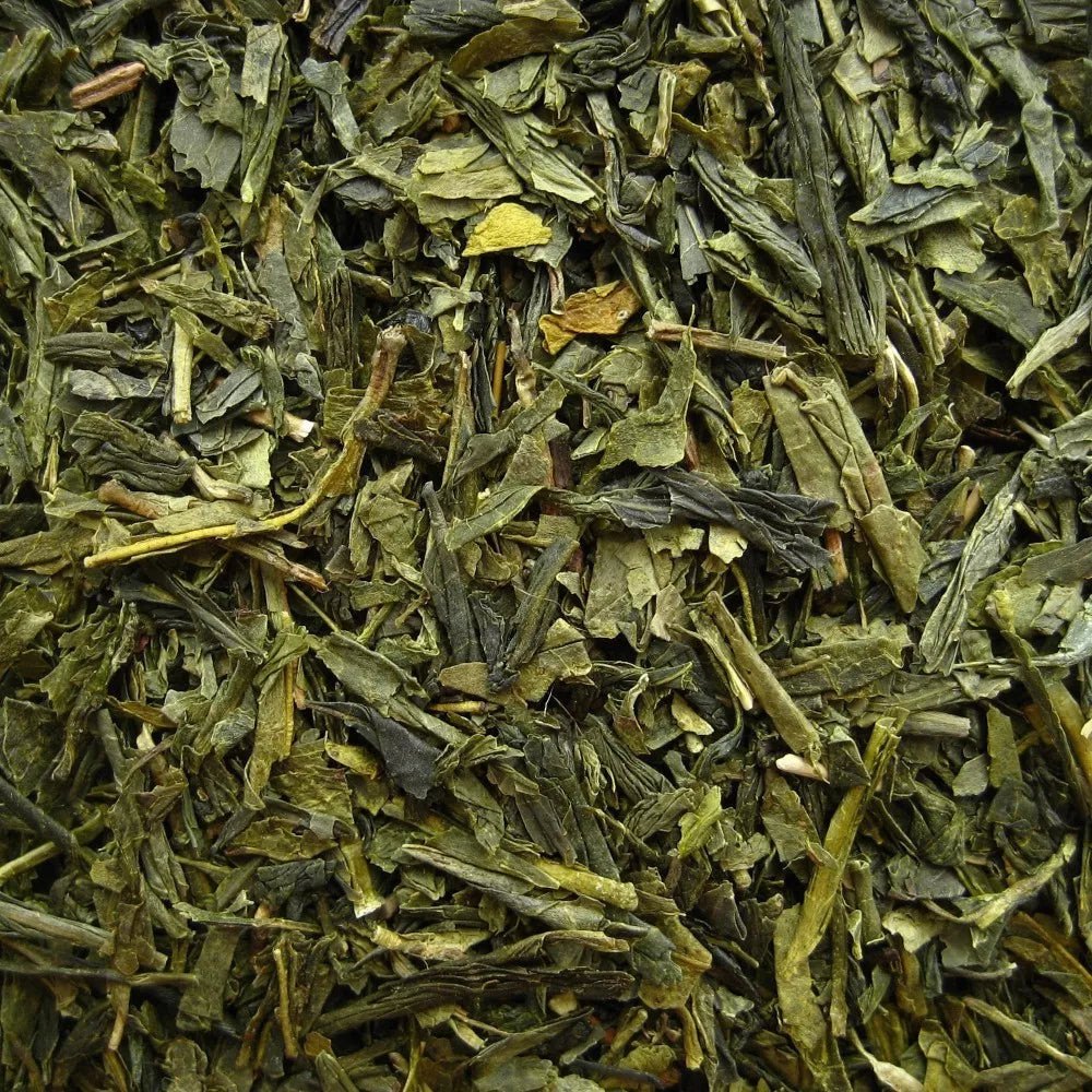 Sencha China Standard